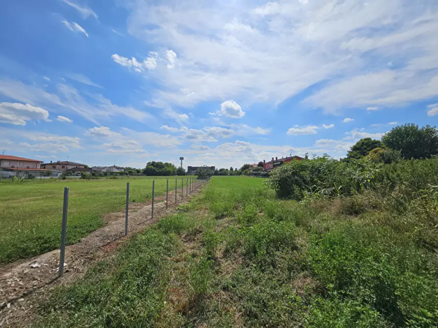 Immagine 5 di Terreno in vendita  in VIA BROGLIO a Solesino