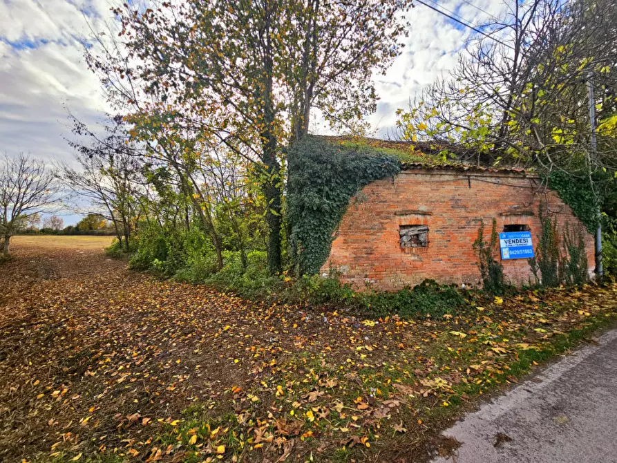 Immagine 1 di Rustico / casale in vendita  in VIA CERESARA a Solesino