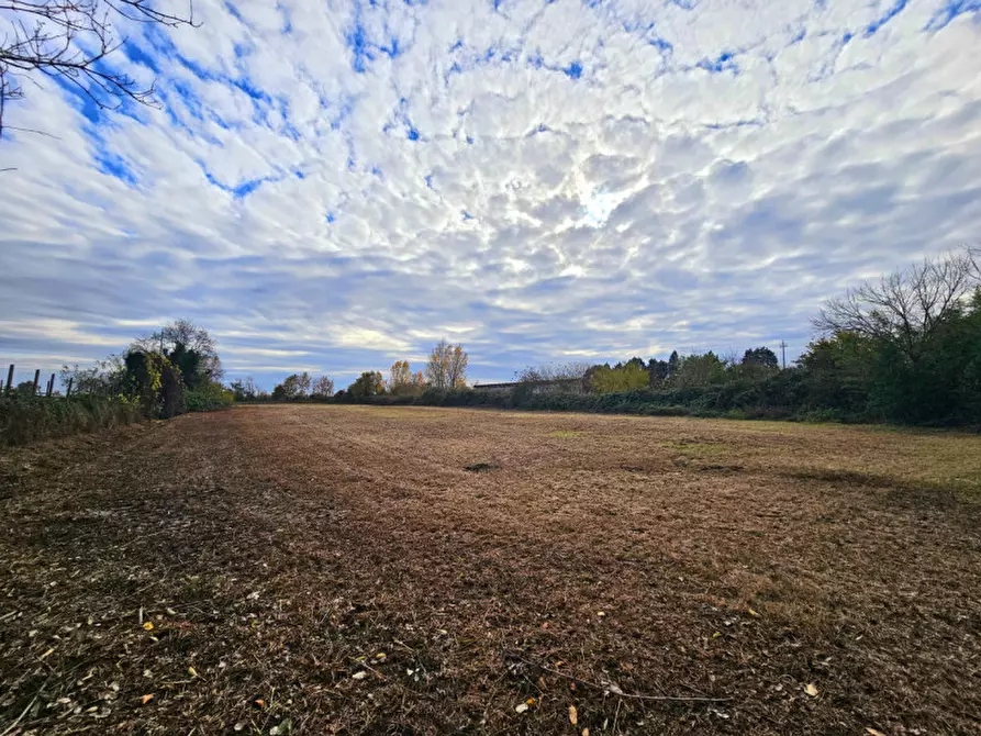 Immagine 3 di Rustico / casale in vendita  in VIA CERESARA a Solesino