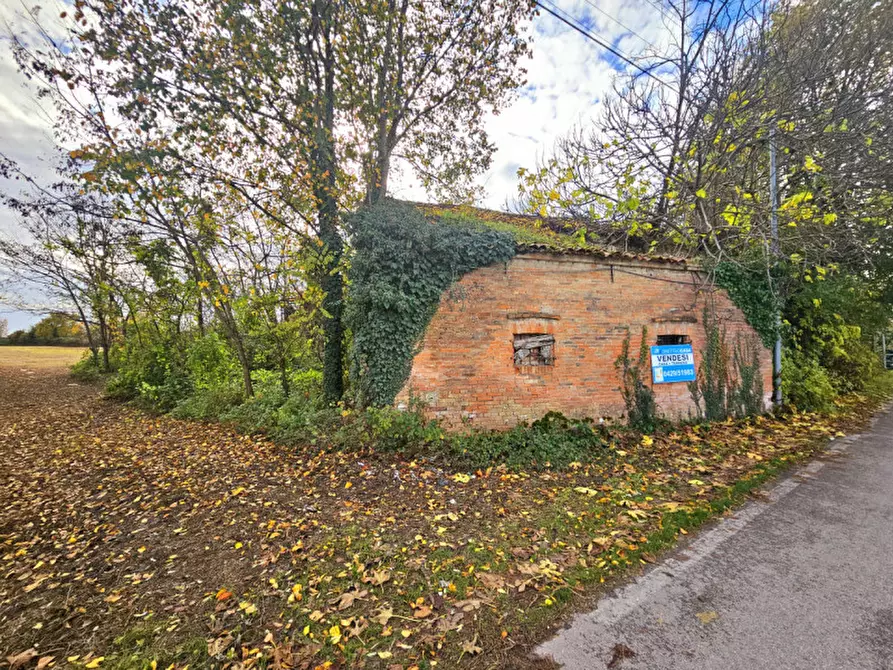 Immagine 6 di Rustico / casale in vendita  in VIA CERESARA a Solesino