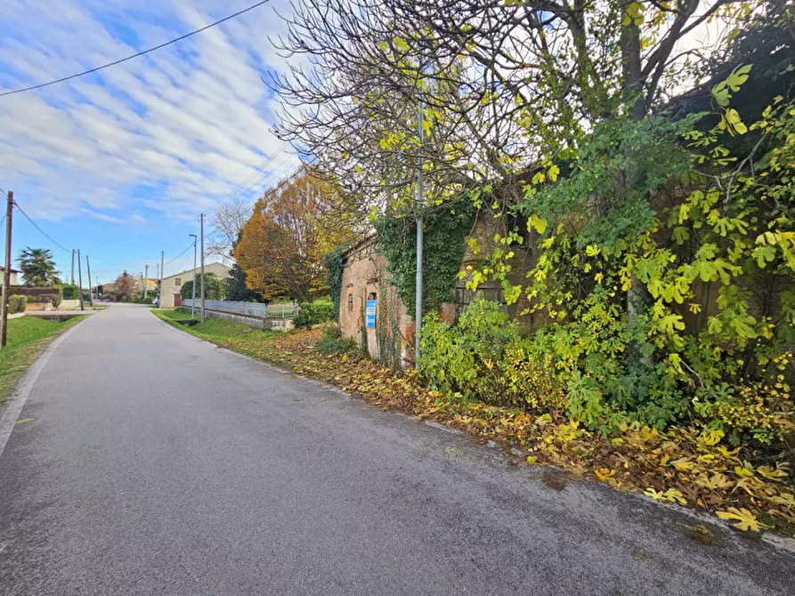 Immagine 7 di Rustico / casale in vendita  in VIA CERESARA a Solesino