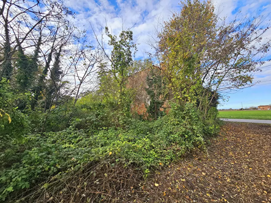 Immagine 8 di Rustico / casale in vendita  in VIA CERESARA a Solesino