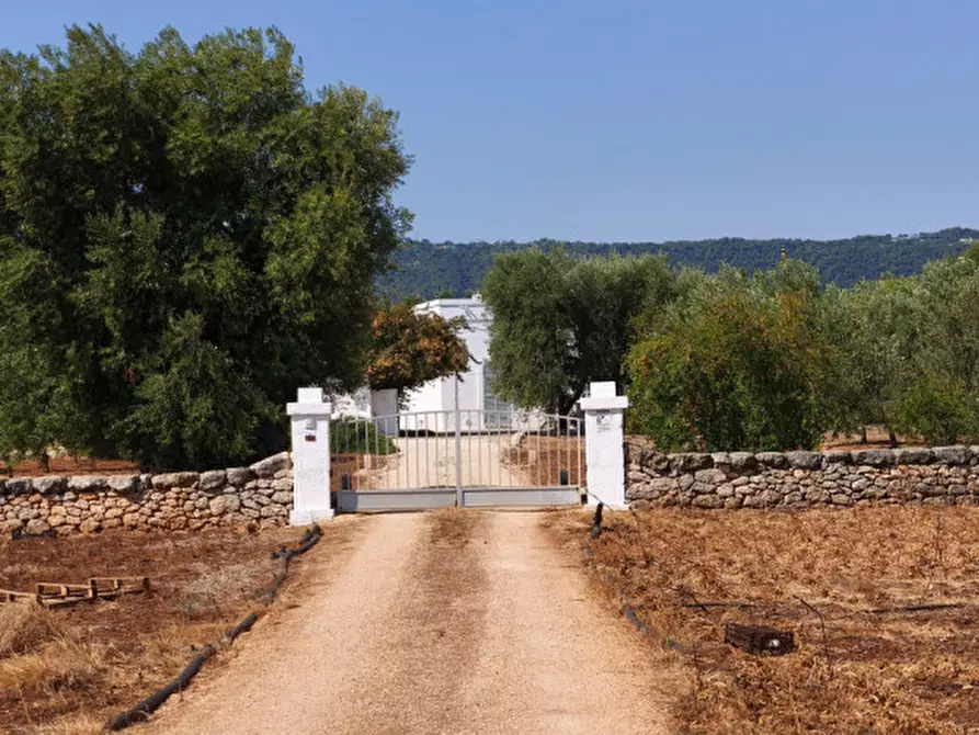 Immagine 2 di Rustico / casale in vendita  in c.da Lamascopone a Fasano