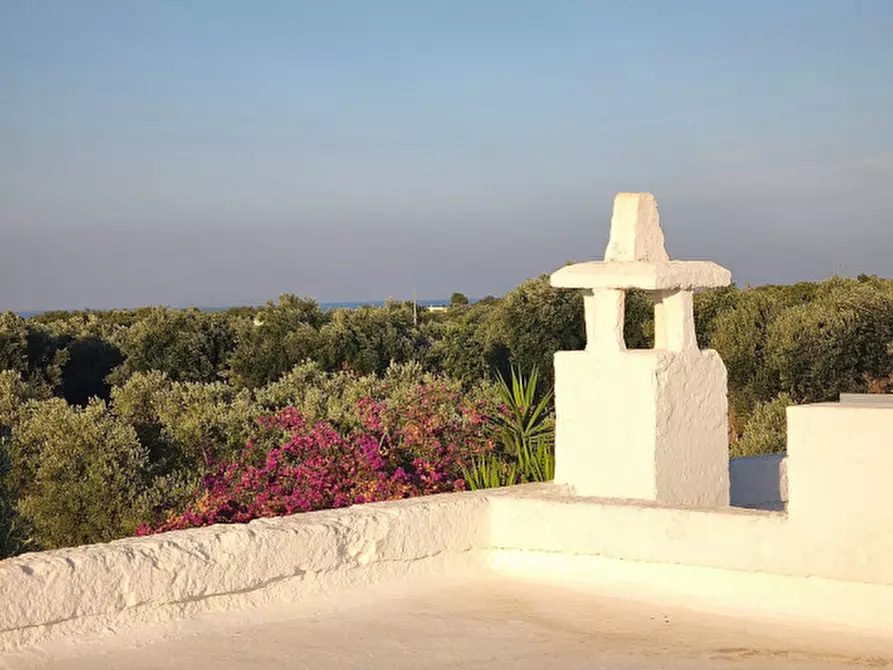 Immagine 17 di Rustico / casale in vendita  in c.da Lamascopone a Fasano