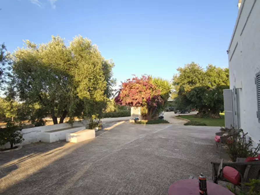 Immagine 23 di Rustico / casale in vendita  in c.da Lamascopone a Fasano