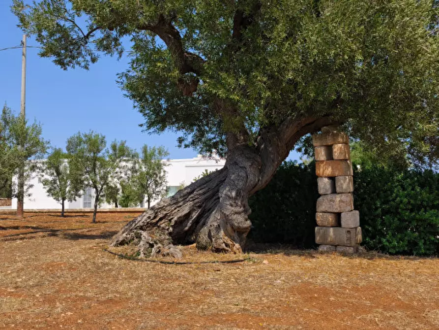 Immagine 44 di Rustico / casale in vendita  in c.da Lamascopone a Fasano