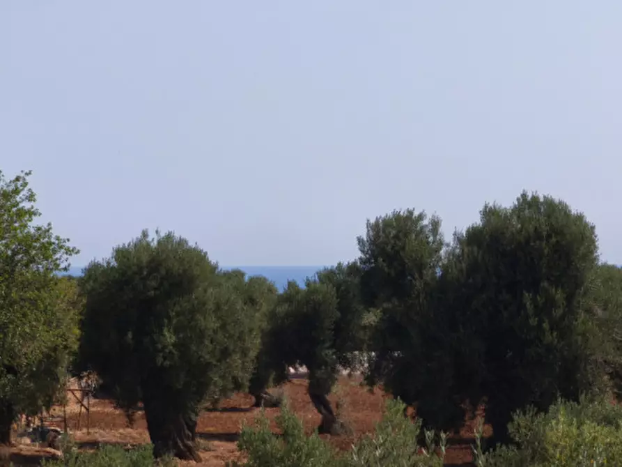 Immagine 54 di Rustico / casale in vendita  in c.da Lamascopone a Fasano