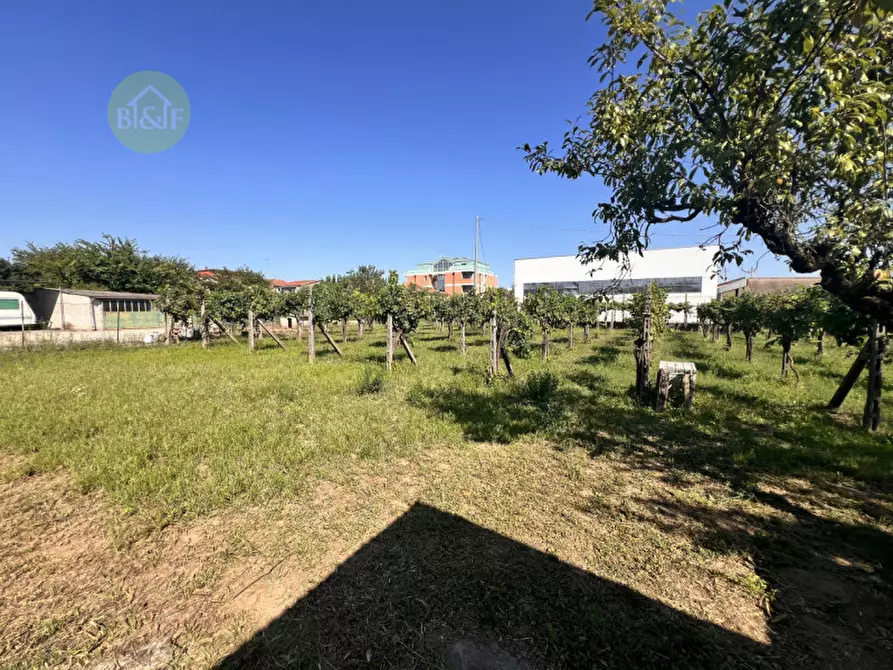 Immagine 11 di Villetta a schiera in vendita  in via giuseppe garibaldi , 37 a Cerea