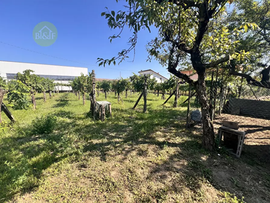 Immagine 13 di Villetta a schiera in vendita  in via giuseppe garibaldi , 37 a Cerea