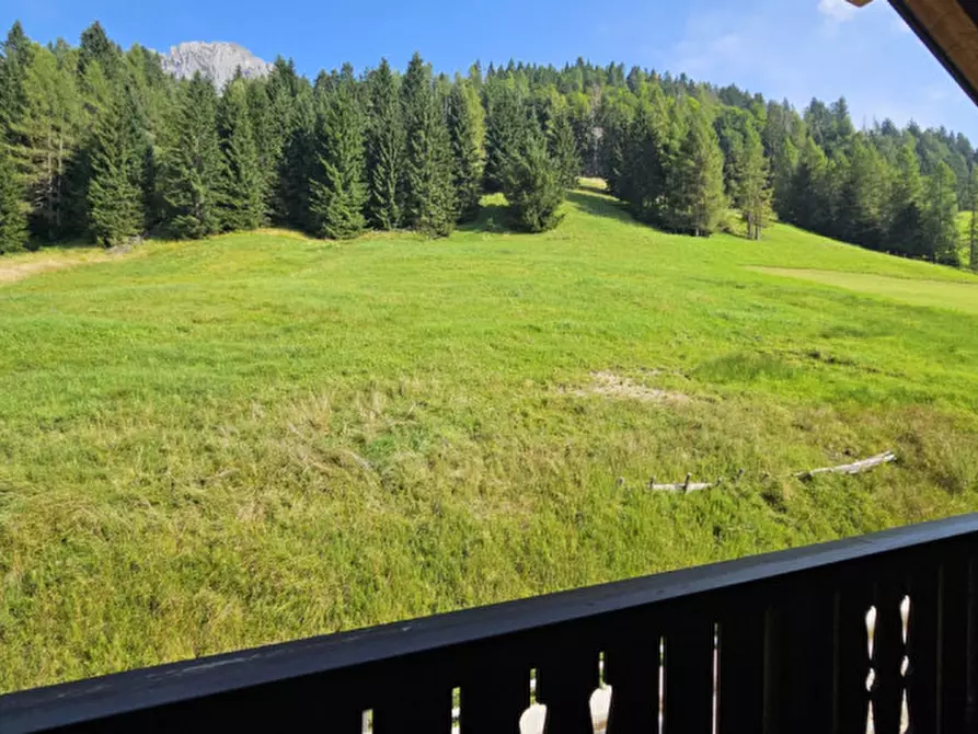 Immagine 22 di Appartamento in vendita  in Borgata Palù 111 a Sappada