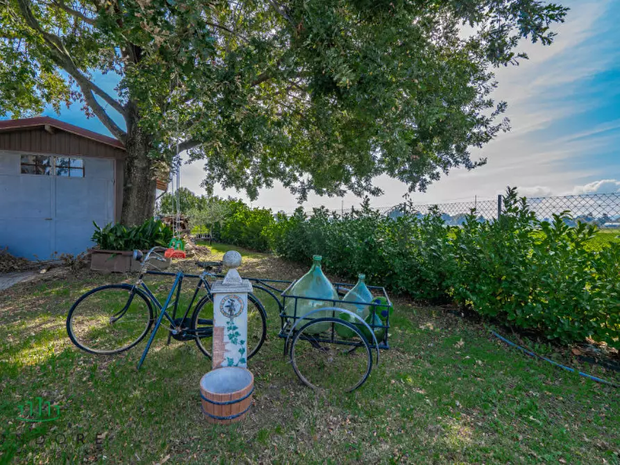 Immagine 77 di Casa indipendente in vendita  in via cadriano 33 a Bologna