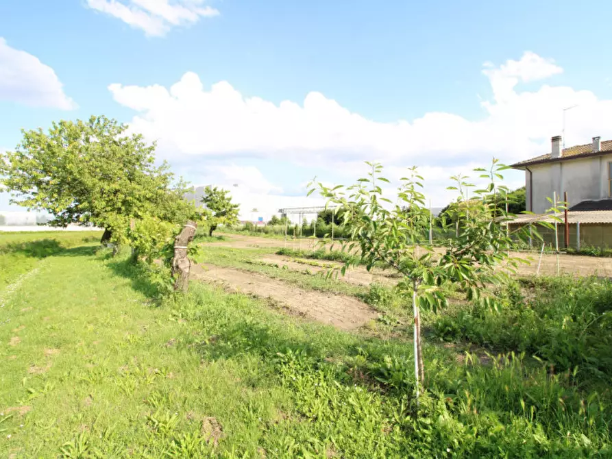 Immagine 11 di Rustico / casale in vendita  in Via Campestrin 9 a Monselice