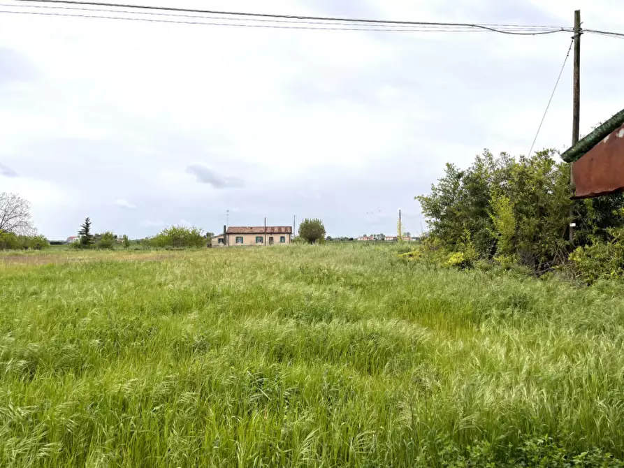 Immagine 7 di Villetta a schiera in vendita  in via ceresolo a Rovigo