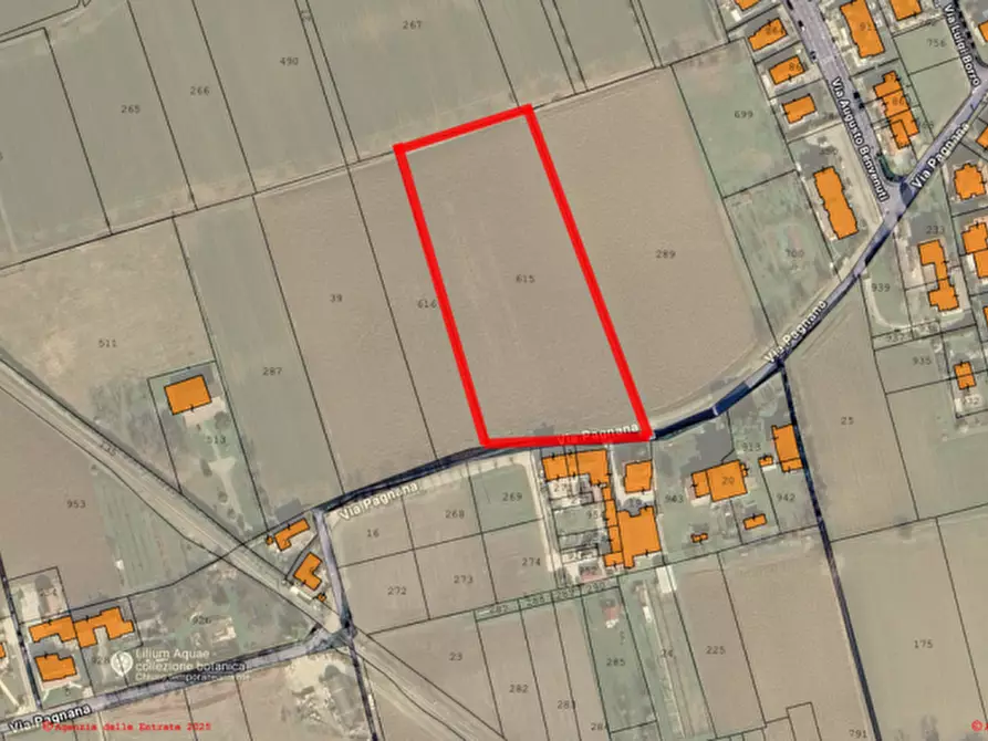 Immagine 3 di Terreno in vendita  in Via Pagnana a Castelfranco Veneto