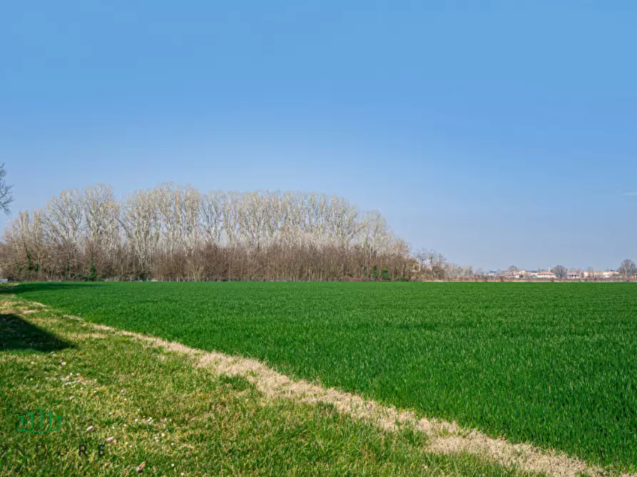 Immagine 64 di Villa in vendita  in VIA FRABAZZA  9 a Bologna