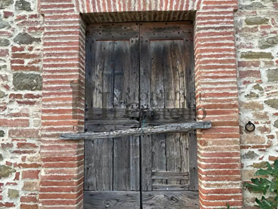 Immagine 5 di Rustico / casale in vendita  a Paciano