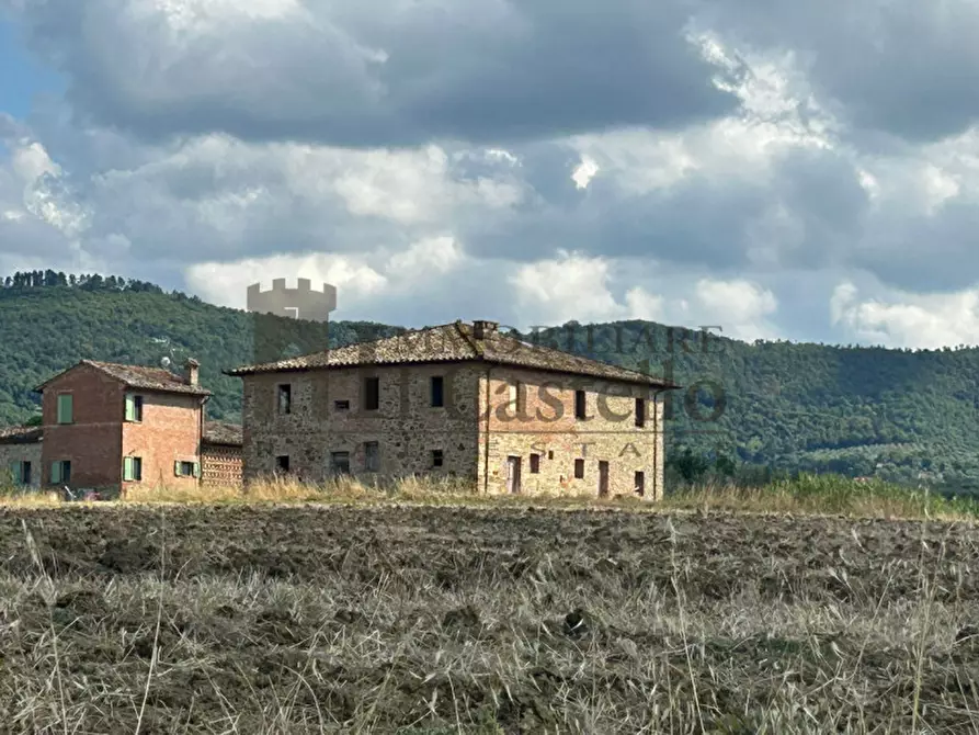 Immagine 17 di Rustico / casale in vendita  a Paciano