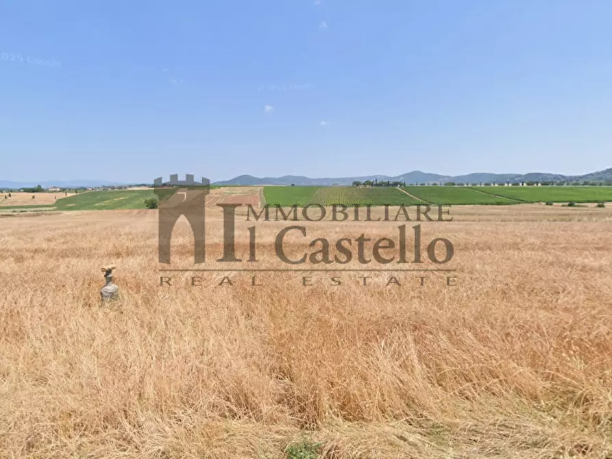 Immagine 20 di Rustico / casale in vendita  a Paciano
