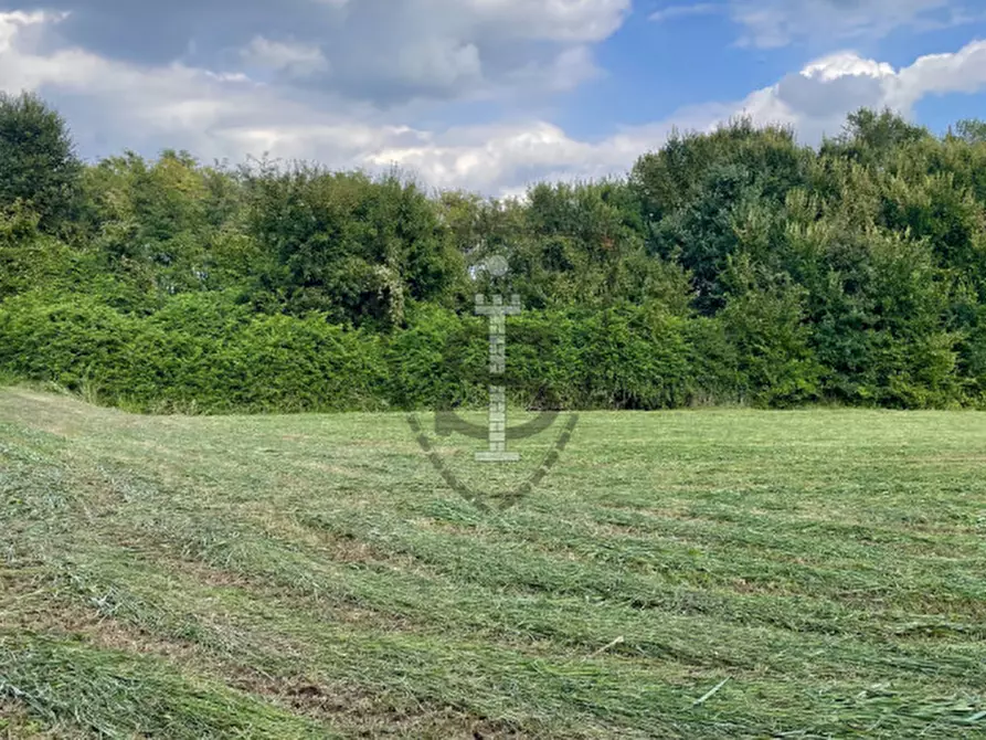 Immagine 9 di Terreno in vendita  in Via S. Nicolò a Pianezze