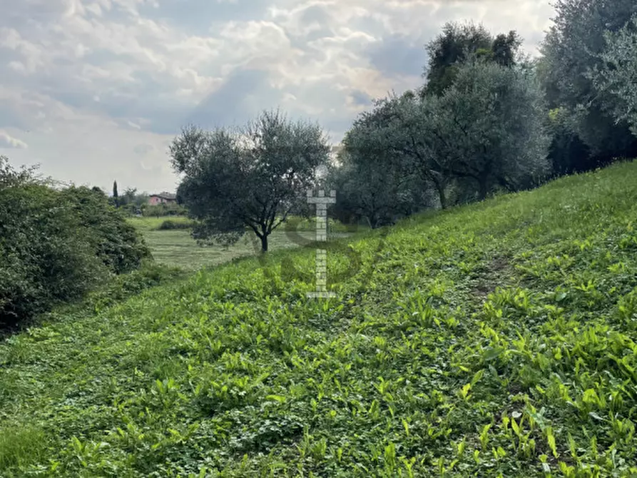 Immagine 14 di Terreno in vendita  in Via S. Nicolò a Pianezze
