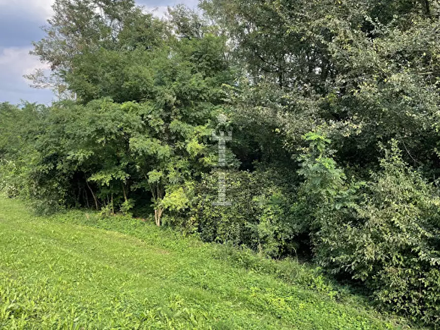 Immagine 15 di Terreno in vendita  in Via S. Nicolò a Pianezze