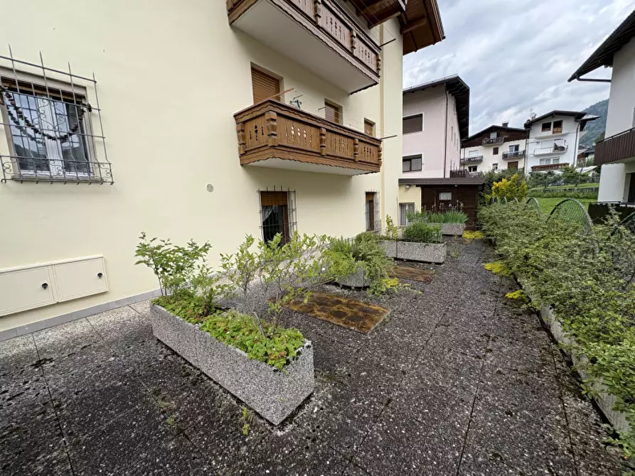 Immagine 9 di Casa indipendente in vendita  in via roma 40 a Primiero San Martino Di Castrozza