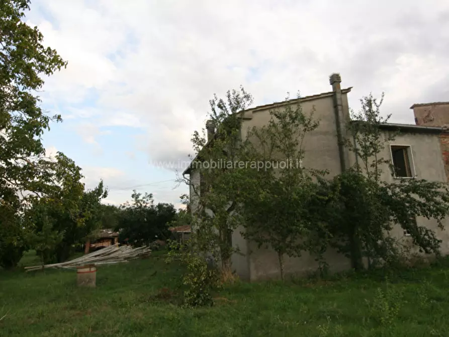 Immagine 3 di Rustico / casale in vendita  a Sinalunga