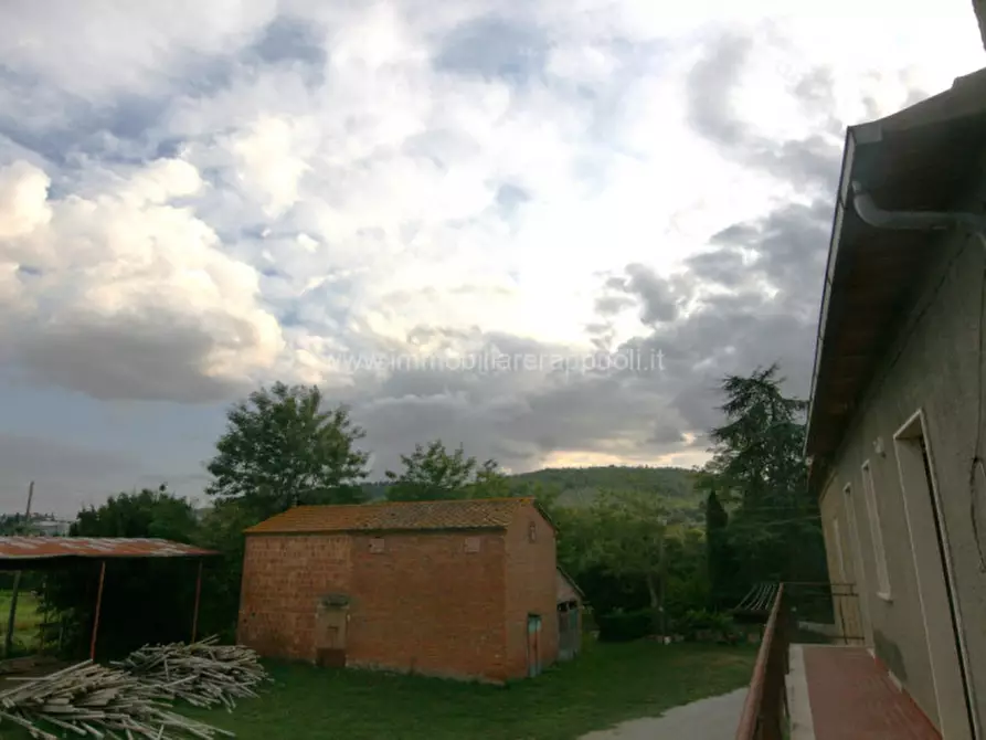 Immagine 10 di Rustico / casale in vendita  a Sinalunga