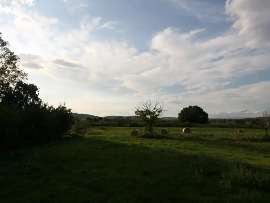 Immagine 13 di Rustico / casale in vendita  a Sinalunga