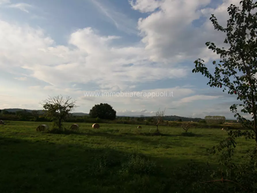 Immagine 14 di Rustico / casale in vendita  a Sinalunga