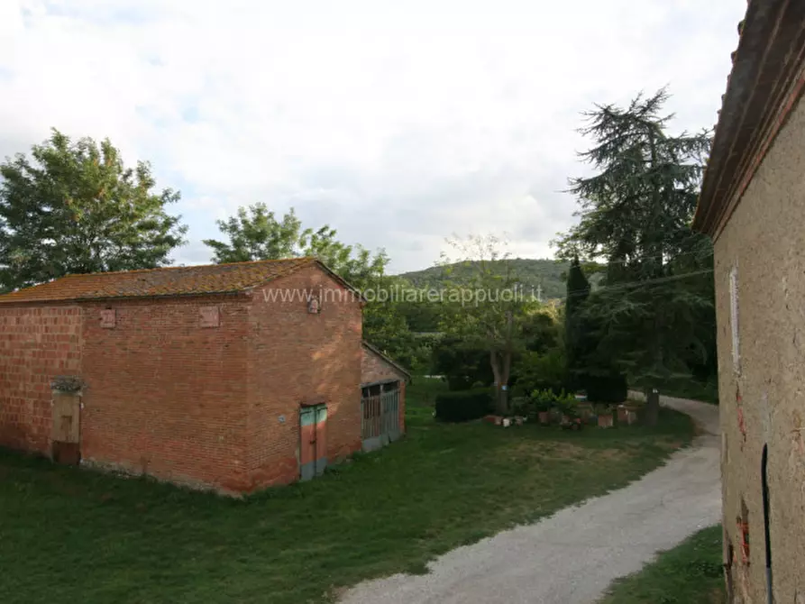 Immagine 20 di Rustico / casale in vendita  a Sinalunga