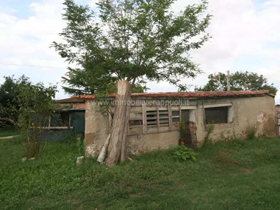 Immagine 25 di Rustico / casale in vendita  a Sinalunga