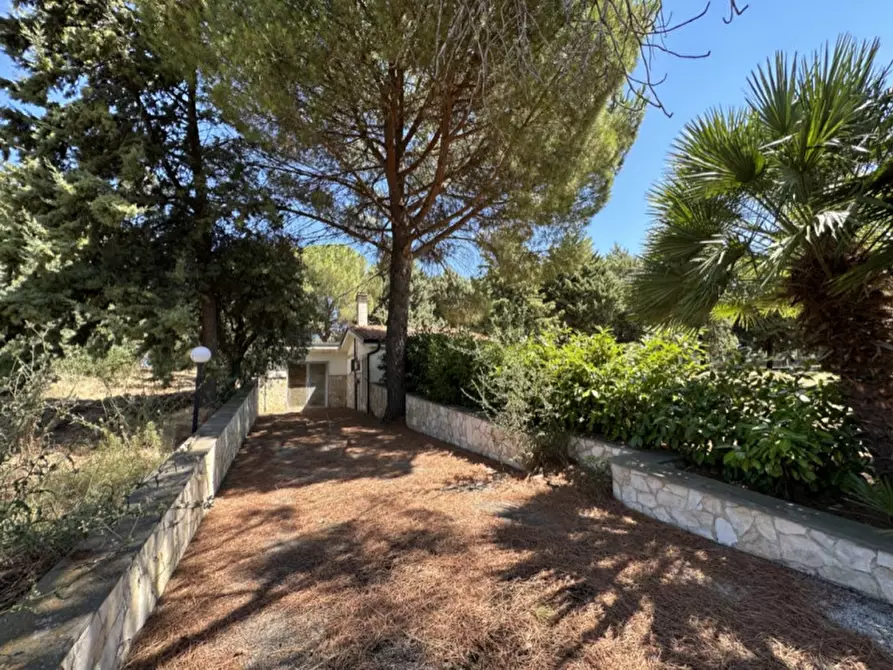 Immagine 1 di Hotel in vendita  a Serracapriola