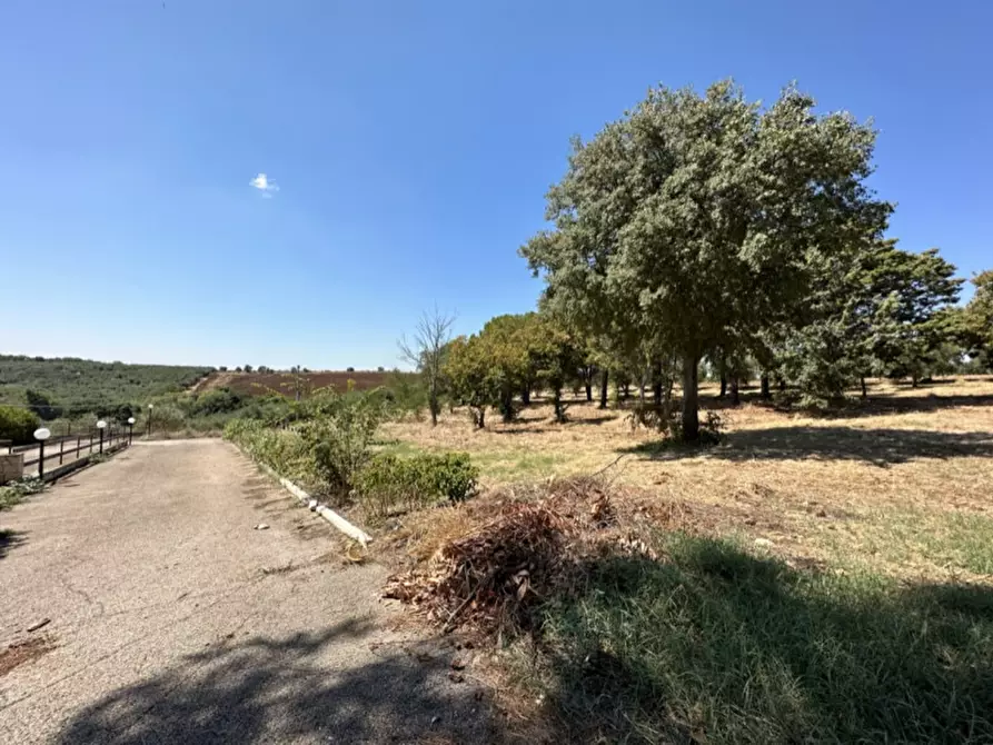 Immagine 2 di Hotel in vendita  a Serracapriola