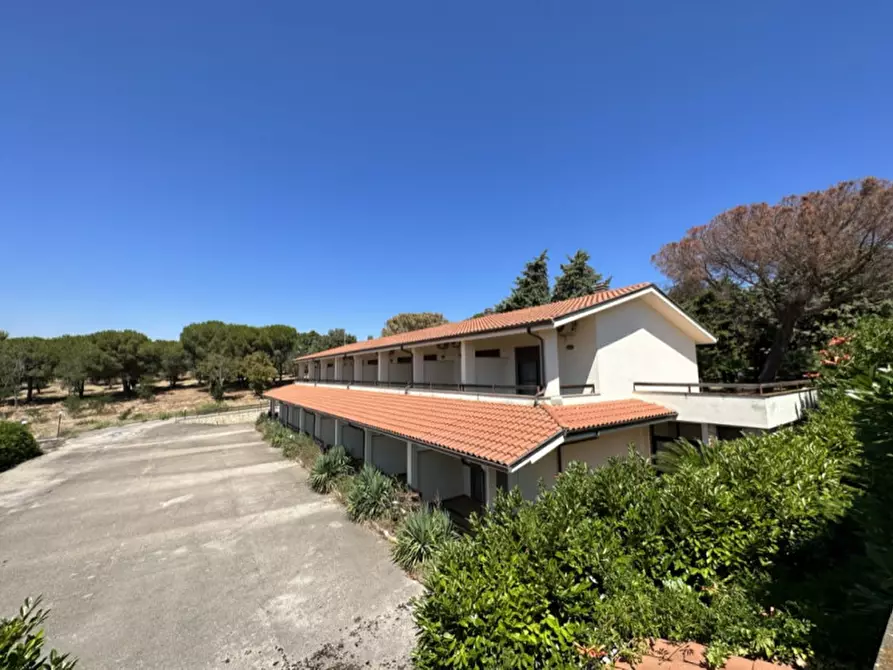 Immagine 3 di Hotel in vendita  a Serracapriola