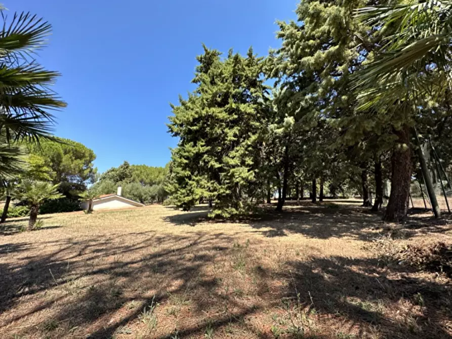 Immagine 11 di Hotel in vendita  a Serracapriola