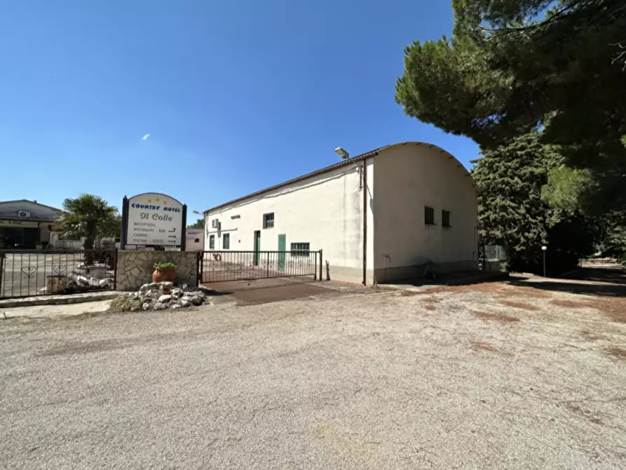 Immagine 16 di Hotel in vendita  a Serracapriola