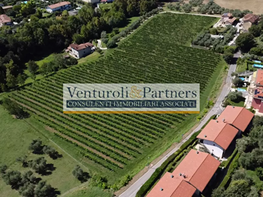 Immagine 5 di Terreno in vendita  in via novaglio a Polpenazze Del Garda