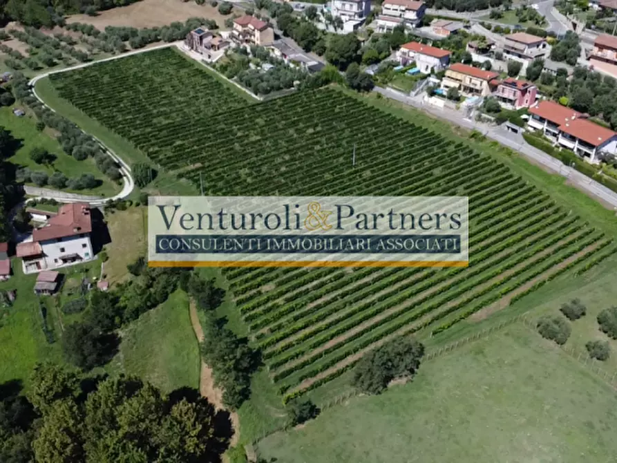 Immagine 6 di Terreno in vendita  in via novaglio a Polpenazze Del Garda