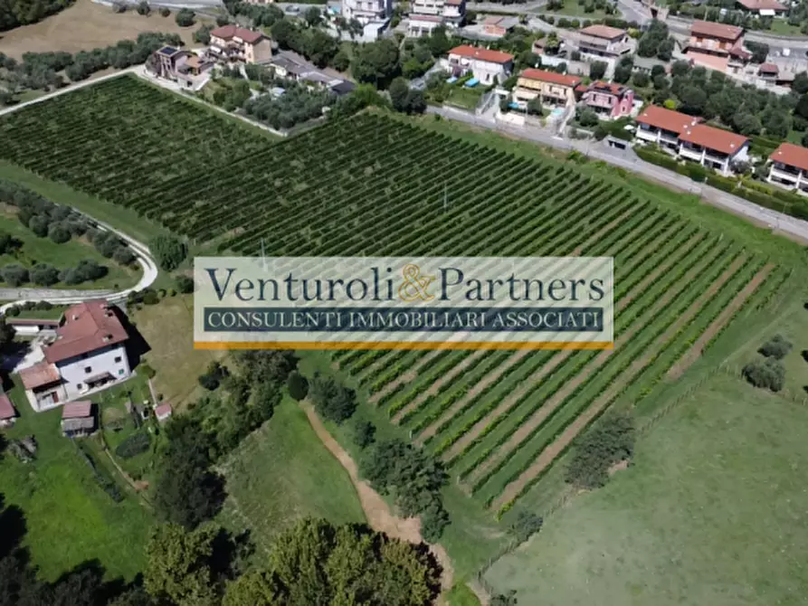 Immagine 7 di Terreno in vendita  in via novaglio a Polpenazze Del Garda