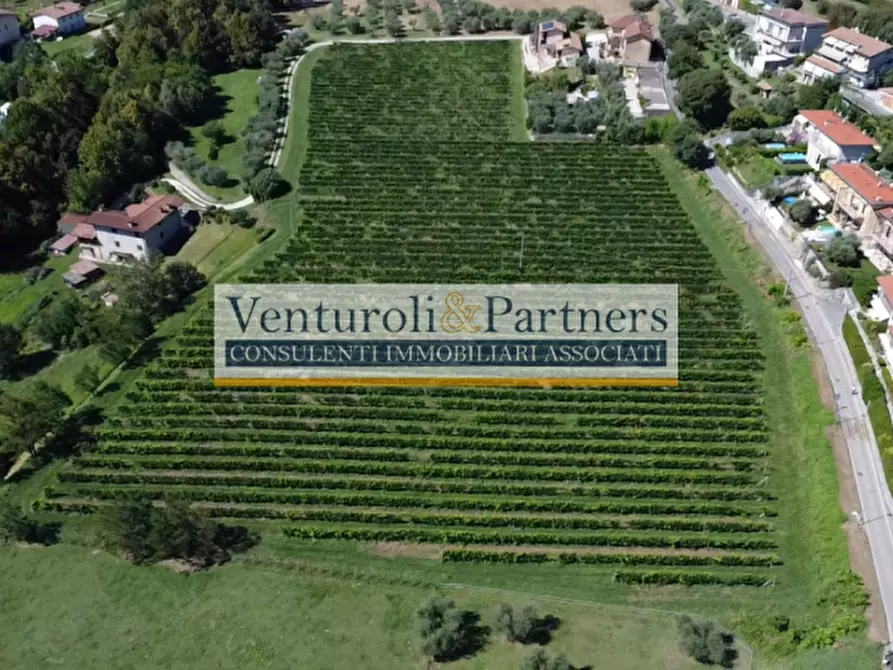 Immagine 8 di Terreno in vendita  in via novaglio a Polpenazze Del Garda