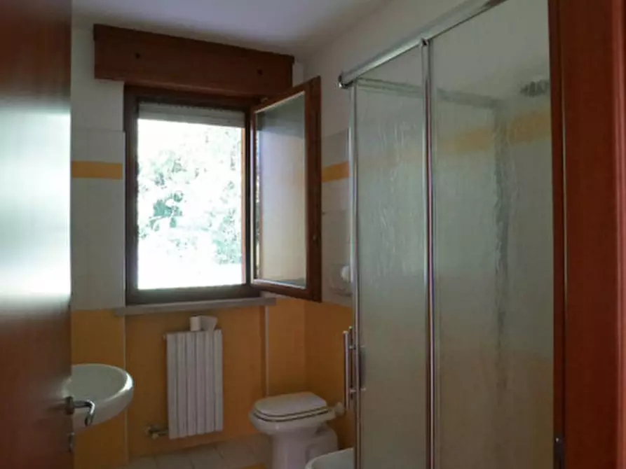 Immagine 10 di Appartamento in vendita  a Arcole