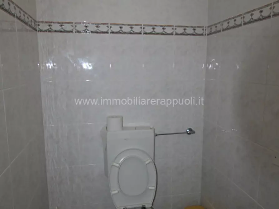 Immagine 7 di Capannone industriale in vendita  a Torrita Di Siena