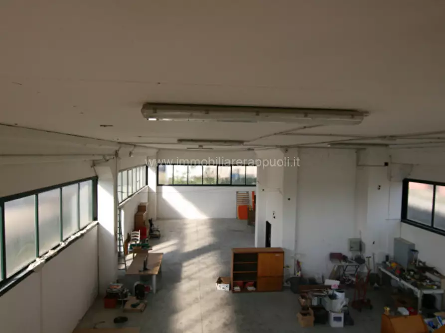 Immagine 16 di Capannone industriale in vendita  a Torrita Di Siena