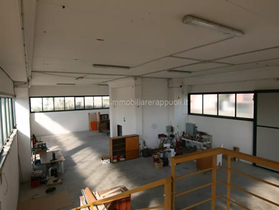 Immagine 17 di Capannone industriale in vendita  a Torrita Di Siena