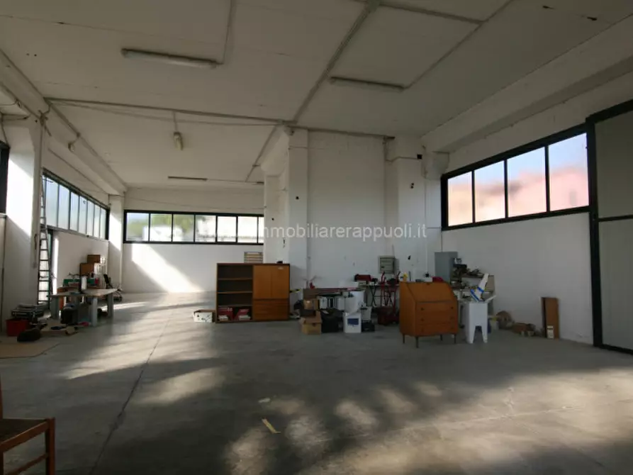 Immagine 25 di Capannone industriale in vendita  a Torrita Di Siena
