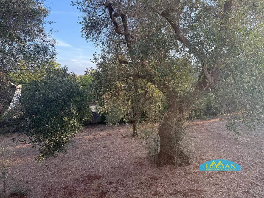 Immagine 28 di Villa in vendita  in Contrada Lecci a Ceglie Messapico