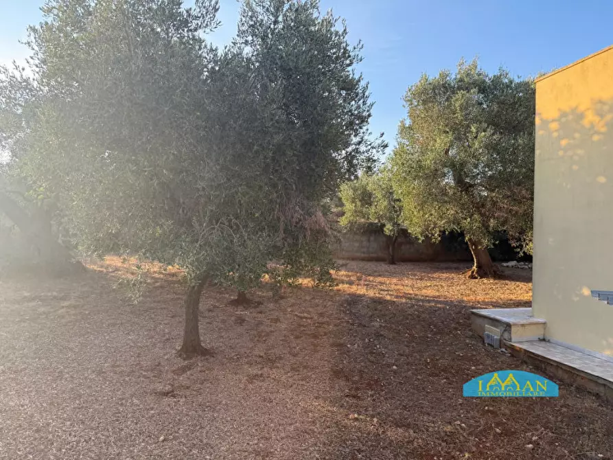 Immagine 29 di Villa in vendita  in Contrada Lecci a Ceglie Messapico