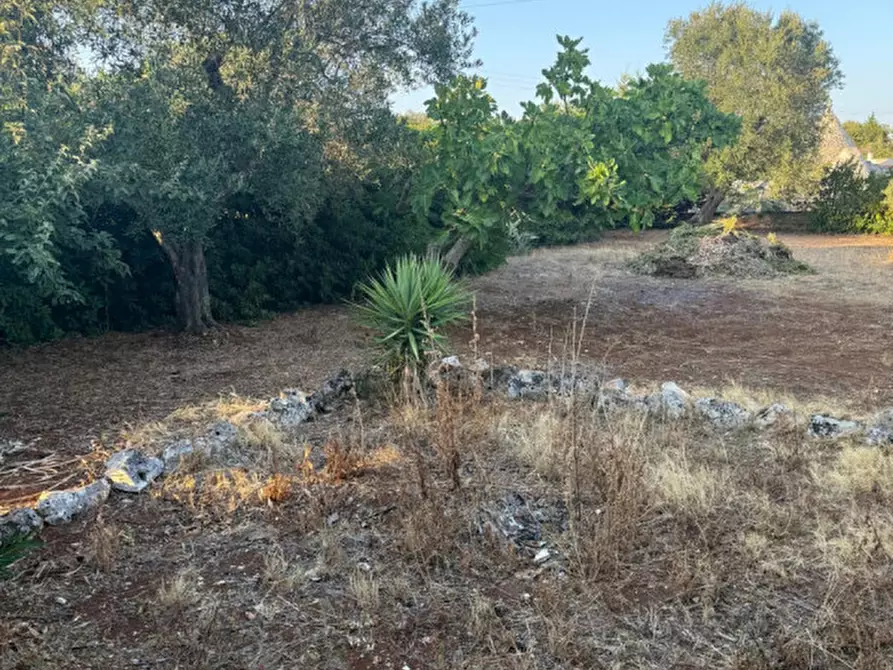Immagine 30 di Villa in vendita  in Contrada Lecci a Ceglie Messapico