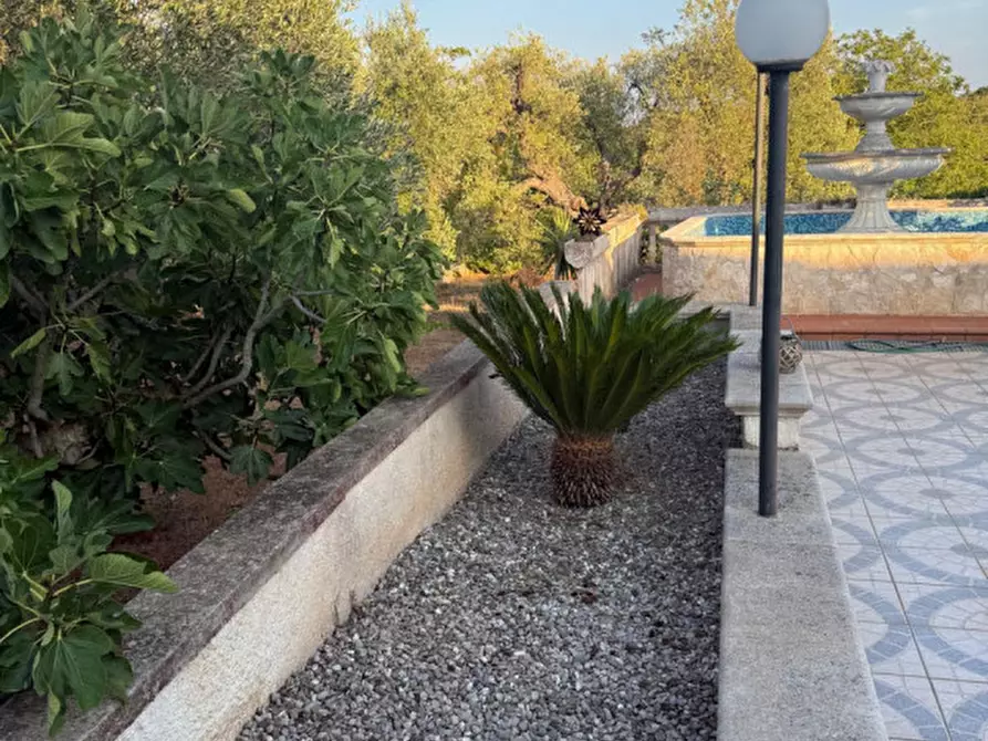 Immagine 31 di Villa in vendita  in Contrada Lecci a Ceglie Messapico